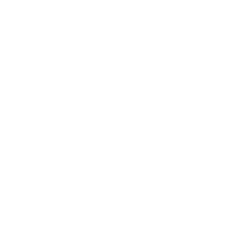 Homeslice White Logo