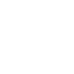 Homeslice White Logo